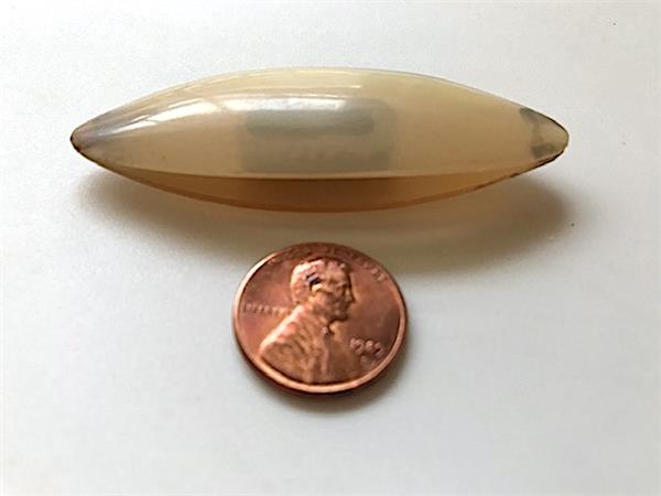 Tatting Shuttle, 2½" Horn